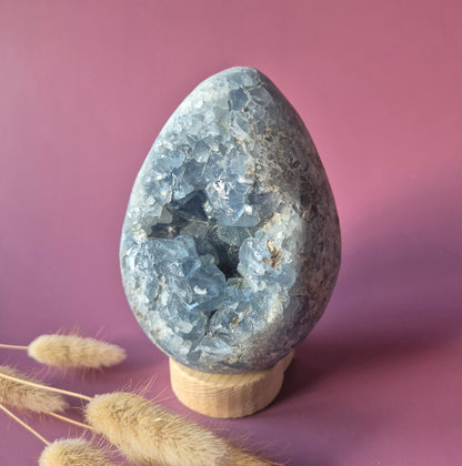 XL Celestite Geode Ei – 1637 gram | Hemelsblauw rustpunt met engelenenergie (Celestien)