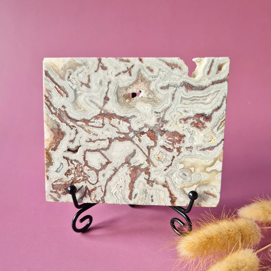 Crazy Lace Agate Slab op standaard – 265g (druzy edelsteen)
