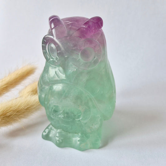 Handgesneden fluoriet uil van 500 gram met groene en roze regenboogfluoriet tinten.
