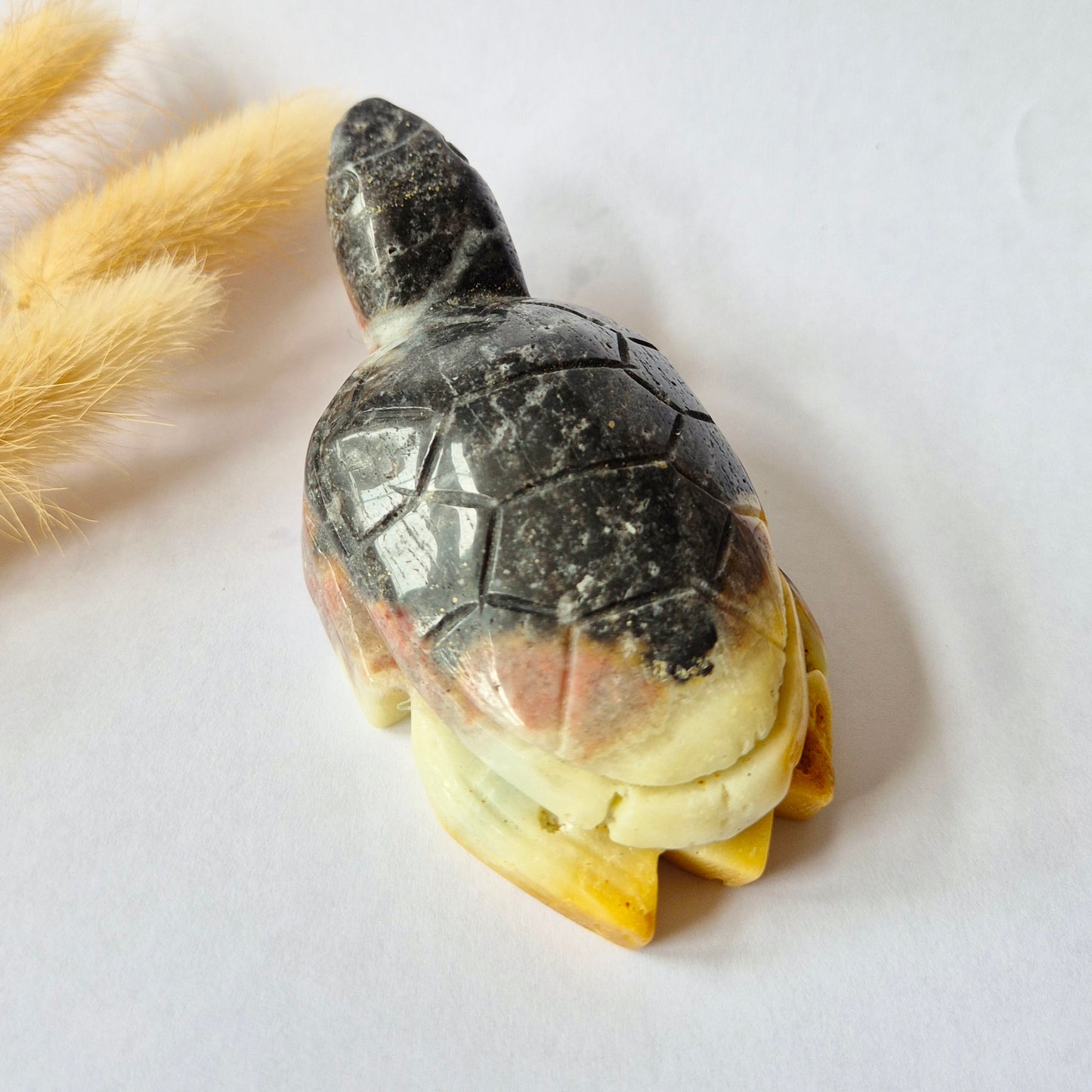 Handgesneden Caribbean Calcite schildpad van 181 gram met natuurlijke donkere, crème en perzikkleurige patronen.