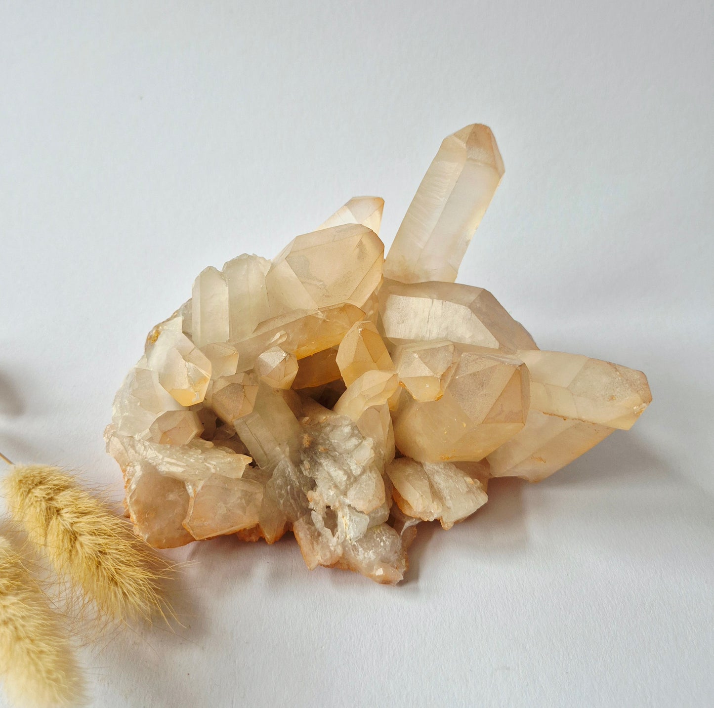 Natuurlijke Kwarts Cluster 914 gram | Uniek Kristal op Matrix uit China