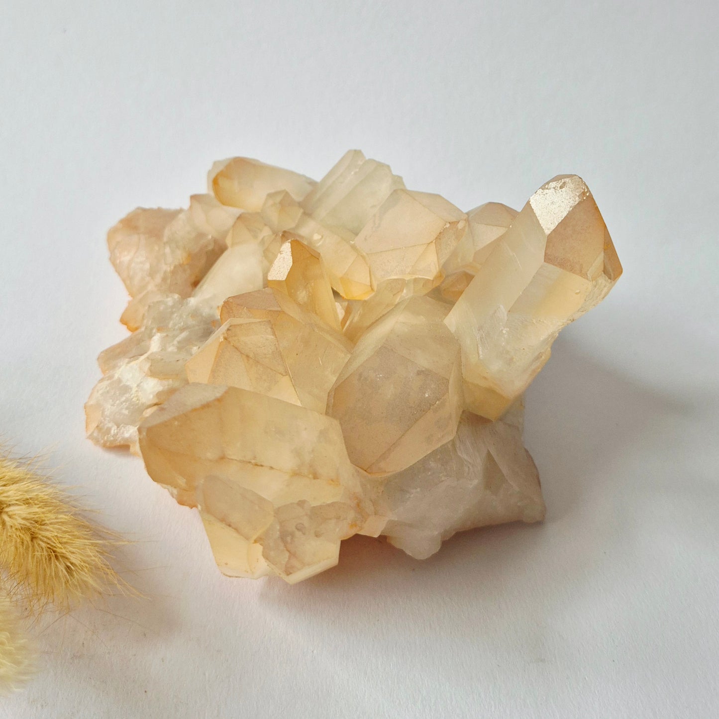 Natuurlijke Kwarts Cluster 914 gram | Uniek Kristal op Matrix uit China