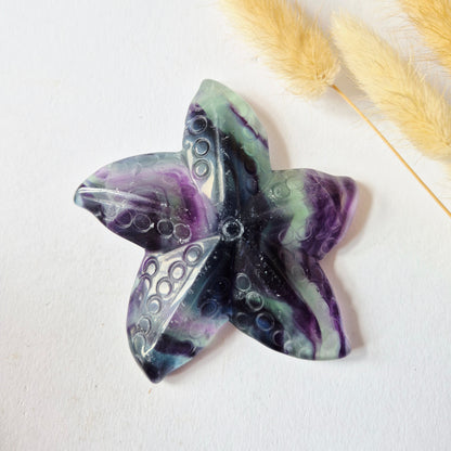 Regenboog Fluoriet Zeester Carving – ca. 10 cm #1