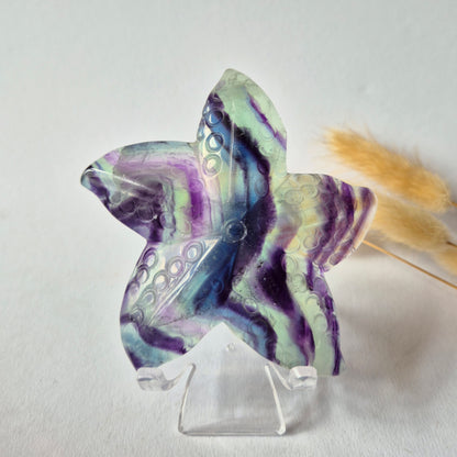 Regenboog Fluoriet Zeester Carving – ca. 10 cm #1