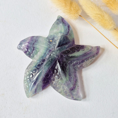 Regenboog Fluoriet Zeester Carving – ca. 10 cm #4