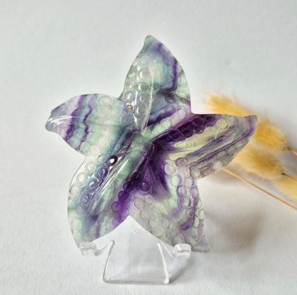 Regenboog Fluoriet Zeester Carving – ca. 10 cm #4