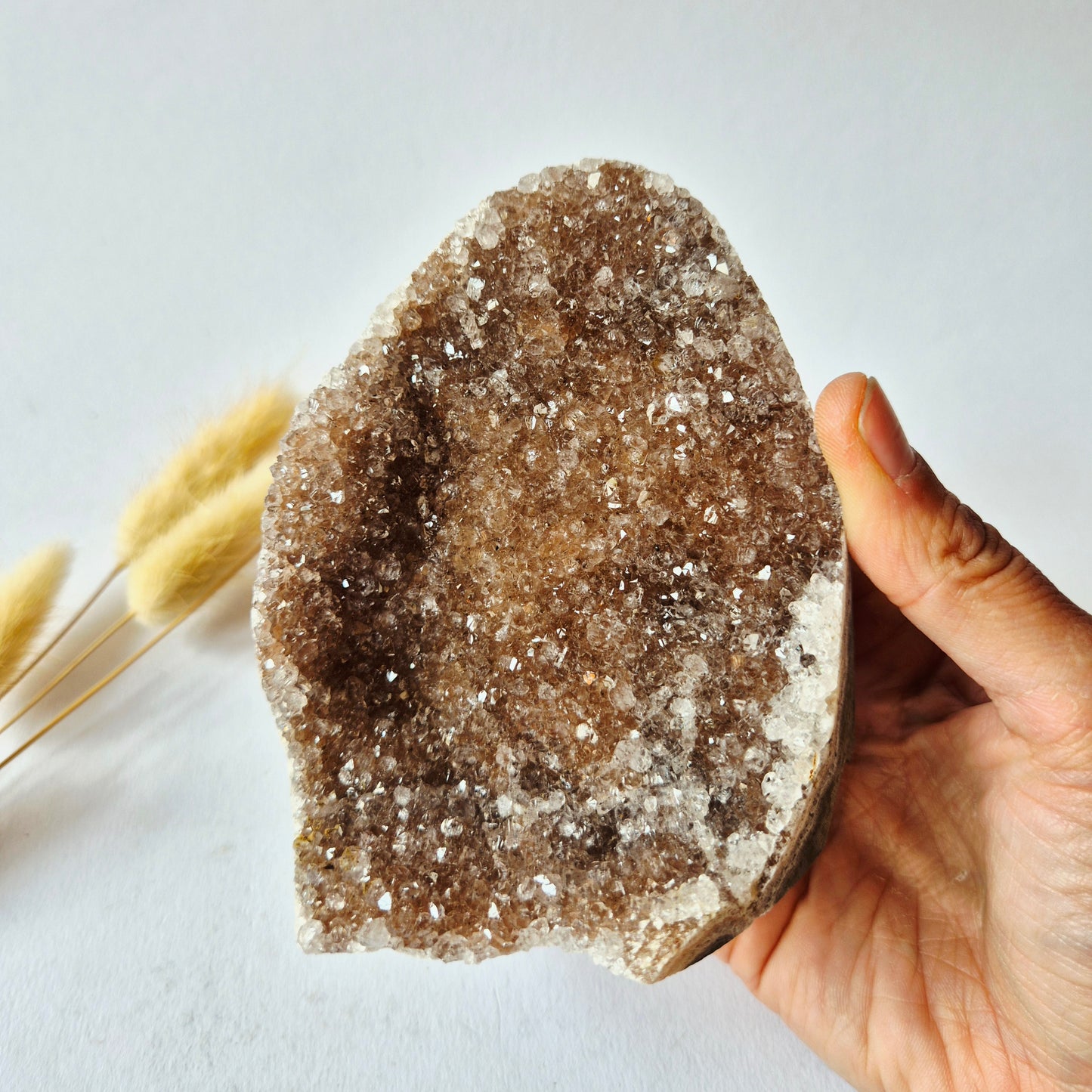 Champagne Amethist Druzy Vrije Vorm 649g | Natuurlijke Kristal Geode