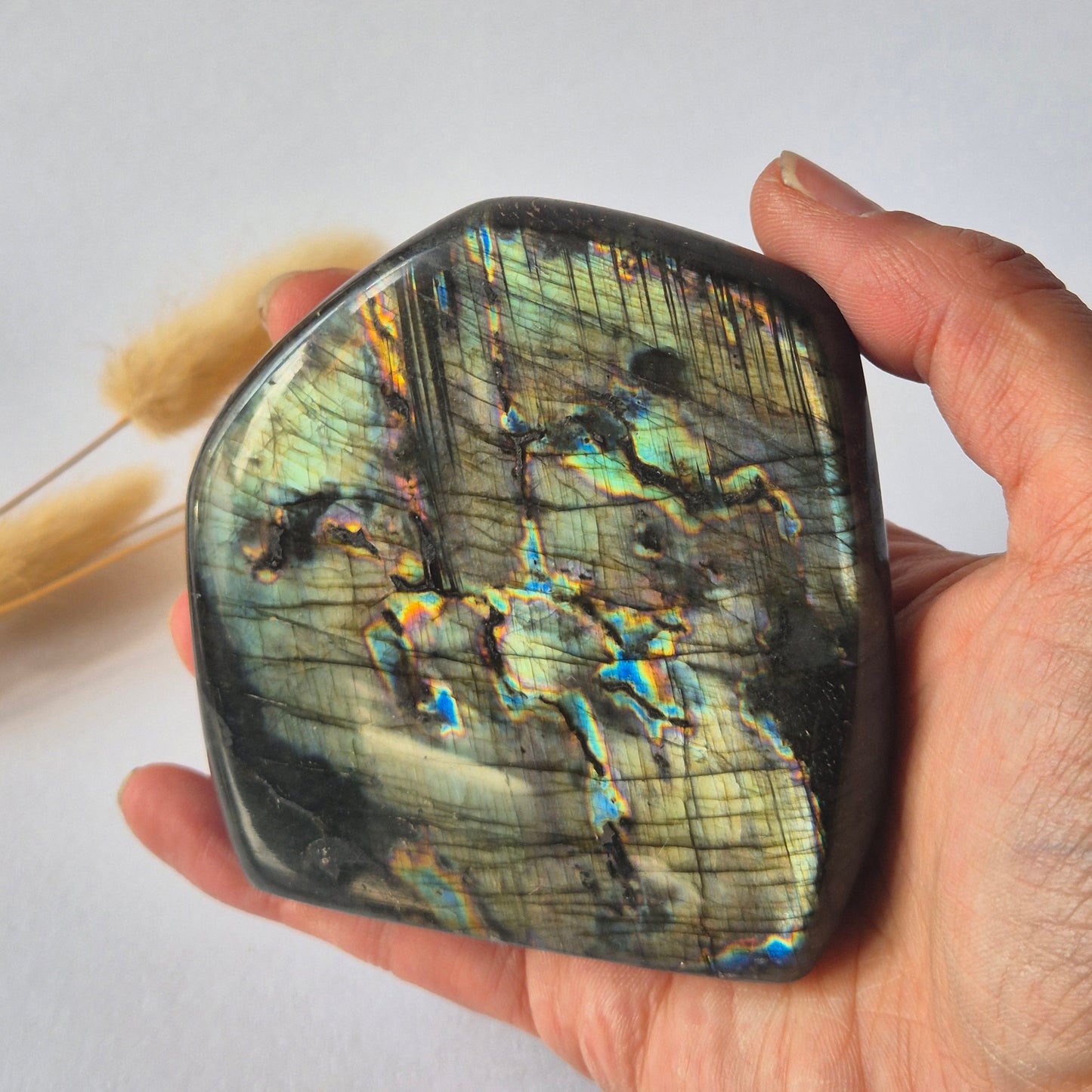 Premium Rainbow Labradorite Freeform 361g – High Flash Madagascar Labradorite – One of a Kind Crystal