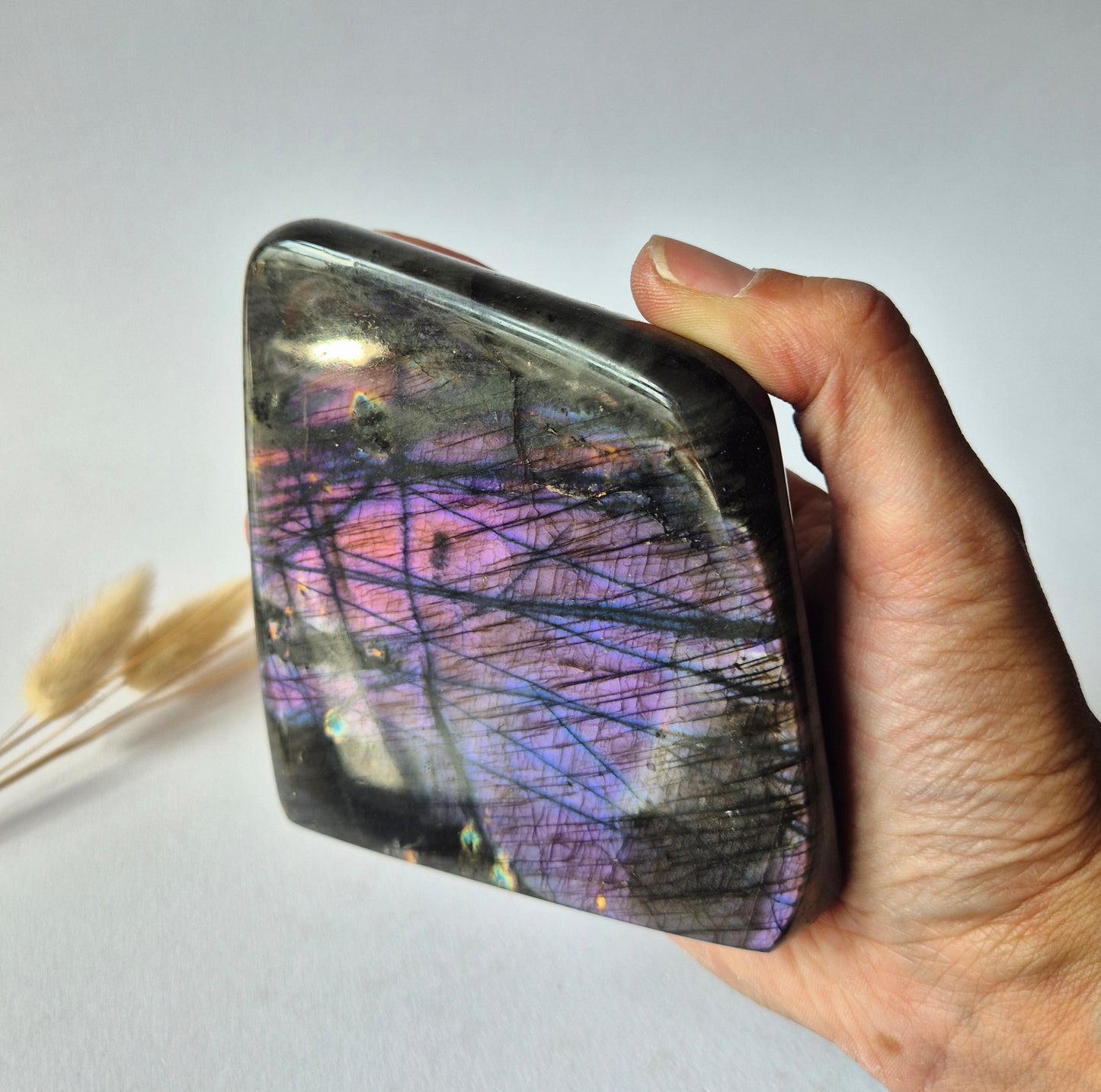 Premium Rainbow Labradorite Freeform 567g – High Flash Madagascar Labradoriet – One of a Kind Crystal