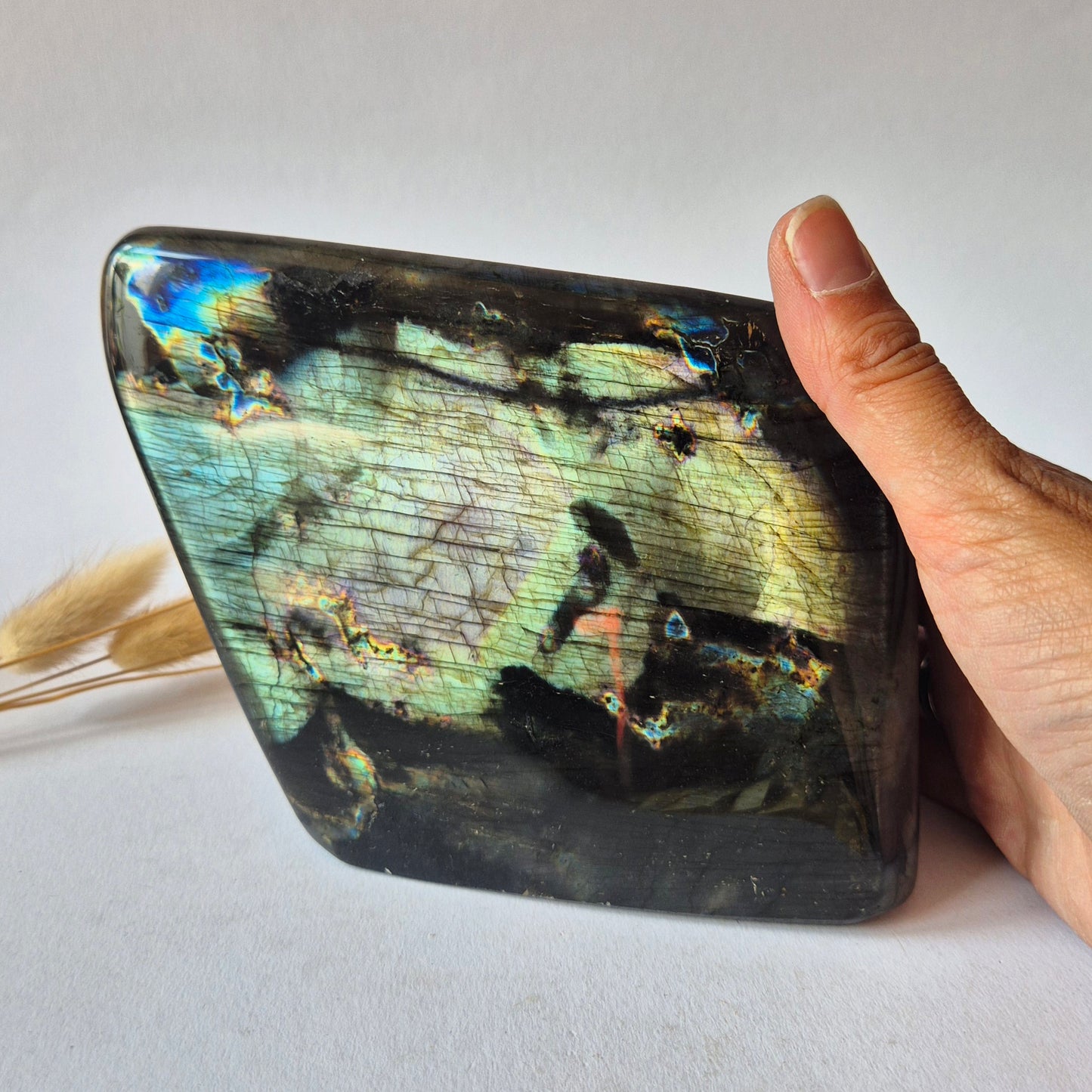 Premium Rainbow Labradorite Freeform 1463g – High Flash Madagascar Labradoriet – One of a Kind Crystal