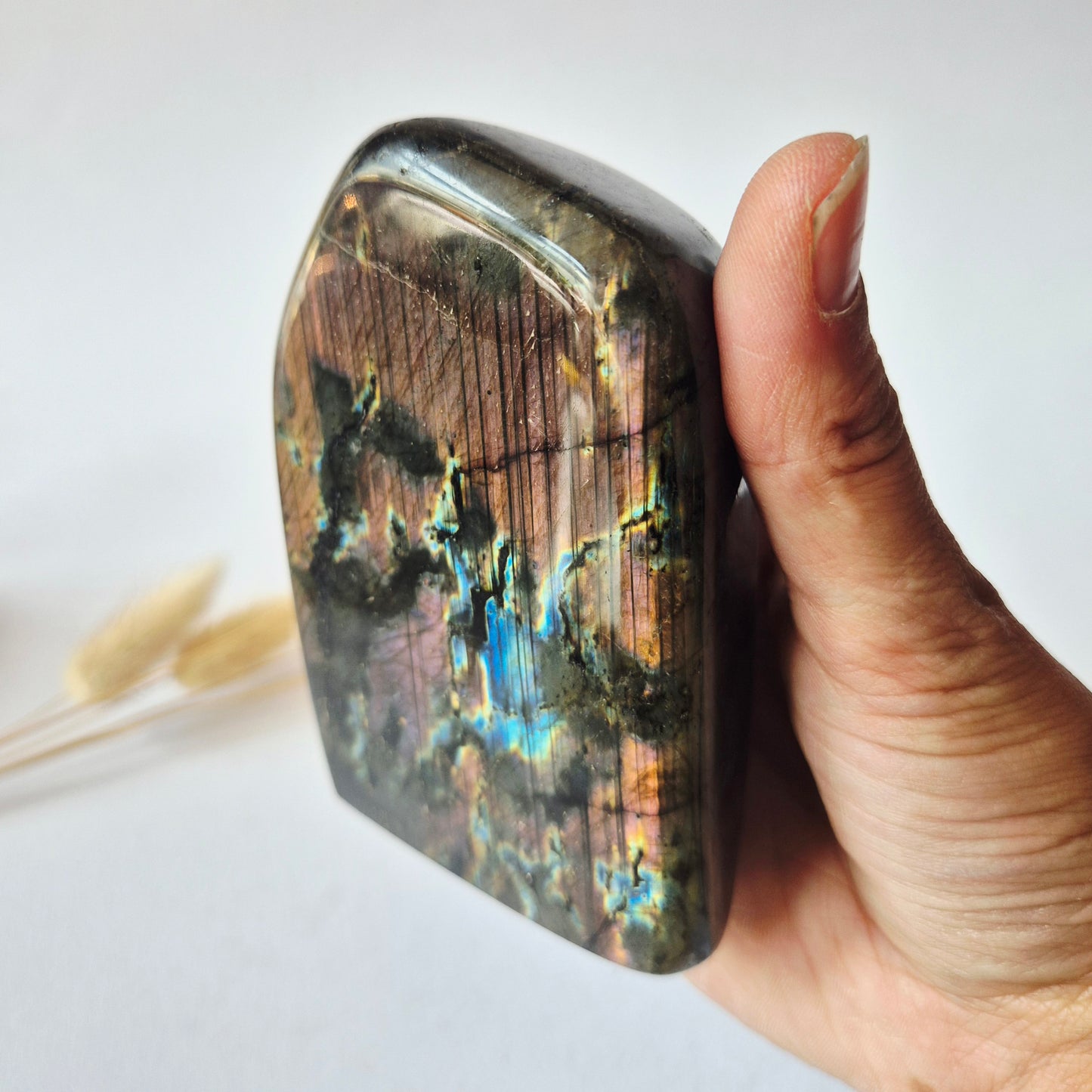 Premium Rainbow Labradorite Freeform 472g – High Flash Madagascar Labradoriet – One of a Kind Crystal