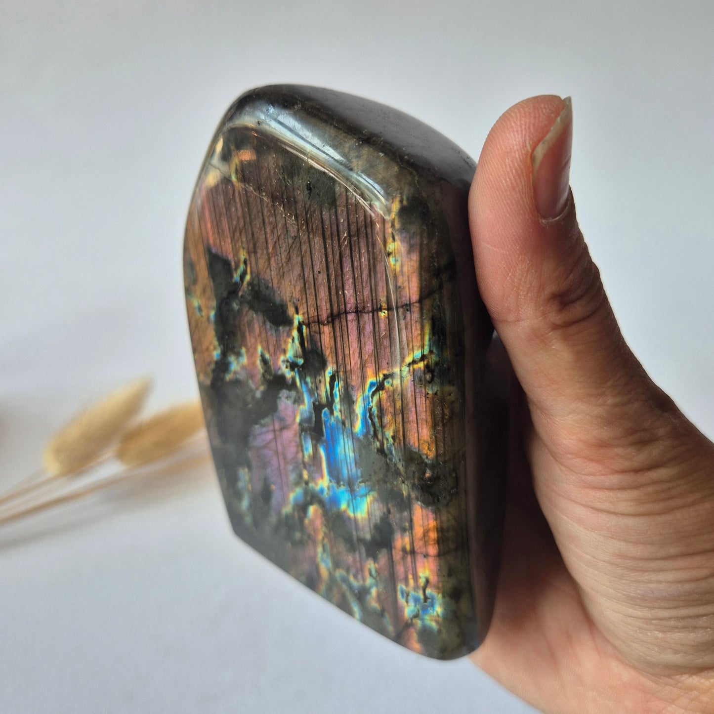 Premium Rainbow Labradorite Freeform 472g – High Flash Madagascar Labradoriet – One of a Kind Crystal