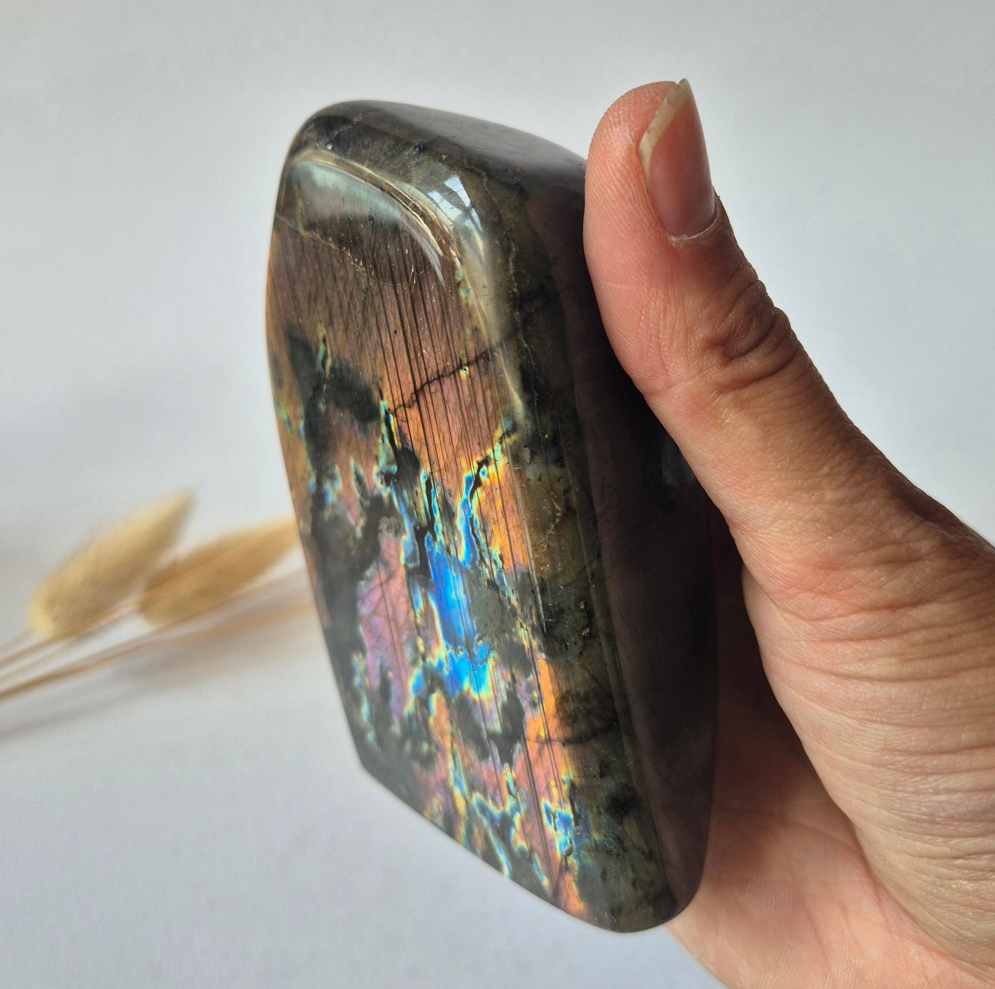 Premium Rainbow Labradorite Freeform 472g – High Flash Madagascar Labradoriet – One of a Kind Crystal