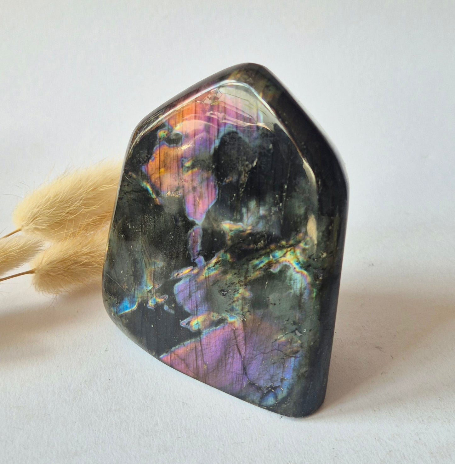 Premium Rainbow Labradorite Freeform 444g – High Flash Madagascar Labradoriet – One of a Kind Crystal