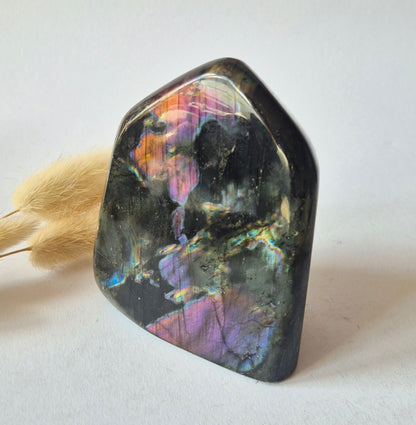 Premium Rainbow Labradorite Freeform 444g – High Flash Madagascar Labradoriet – One of a Kind Crystal
