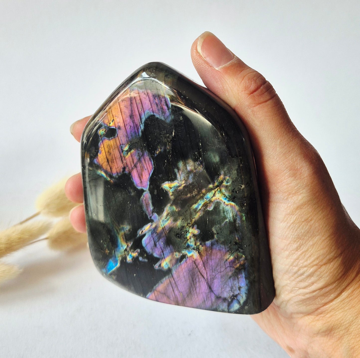 Premium Rainbow Labradorite Freeform 444g – High Flash Madagascar Labradoriet – One of a Kind Crystal