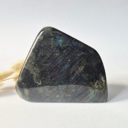 Premium Rainbow Labradorite Freeform 952g – High Flash Madagascar Labradoriet – One of a Kind Crystal