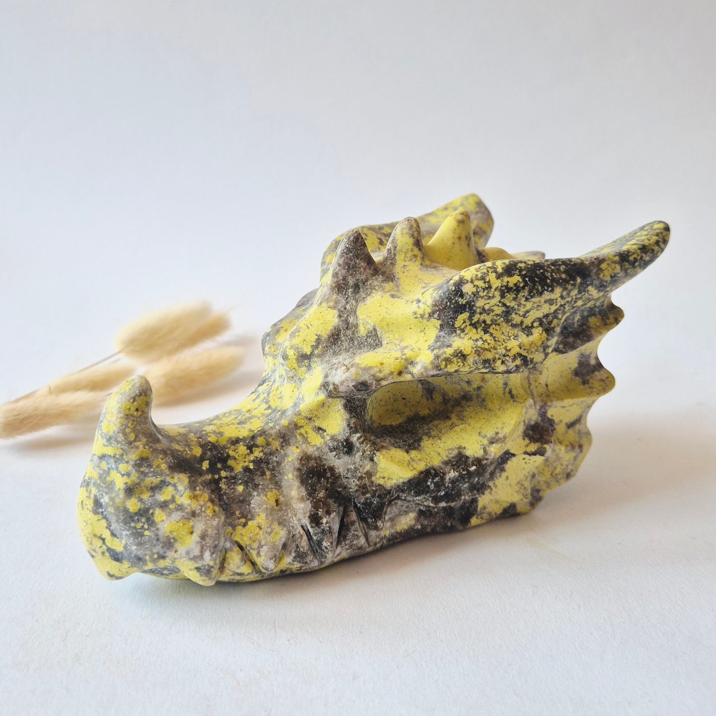 XXL Unieke Serpentijn Edelsteen Drakenschedel 1150g – 17 cm