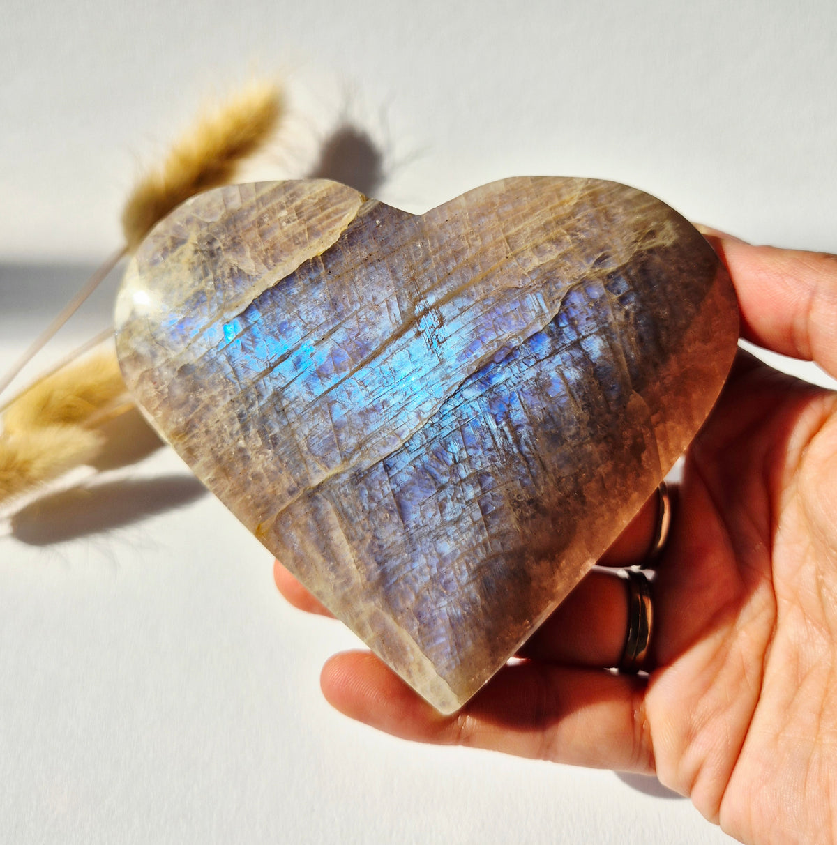 XL Flashy Blauwe Maansteen Hart – 330 gram