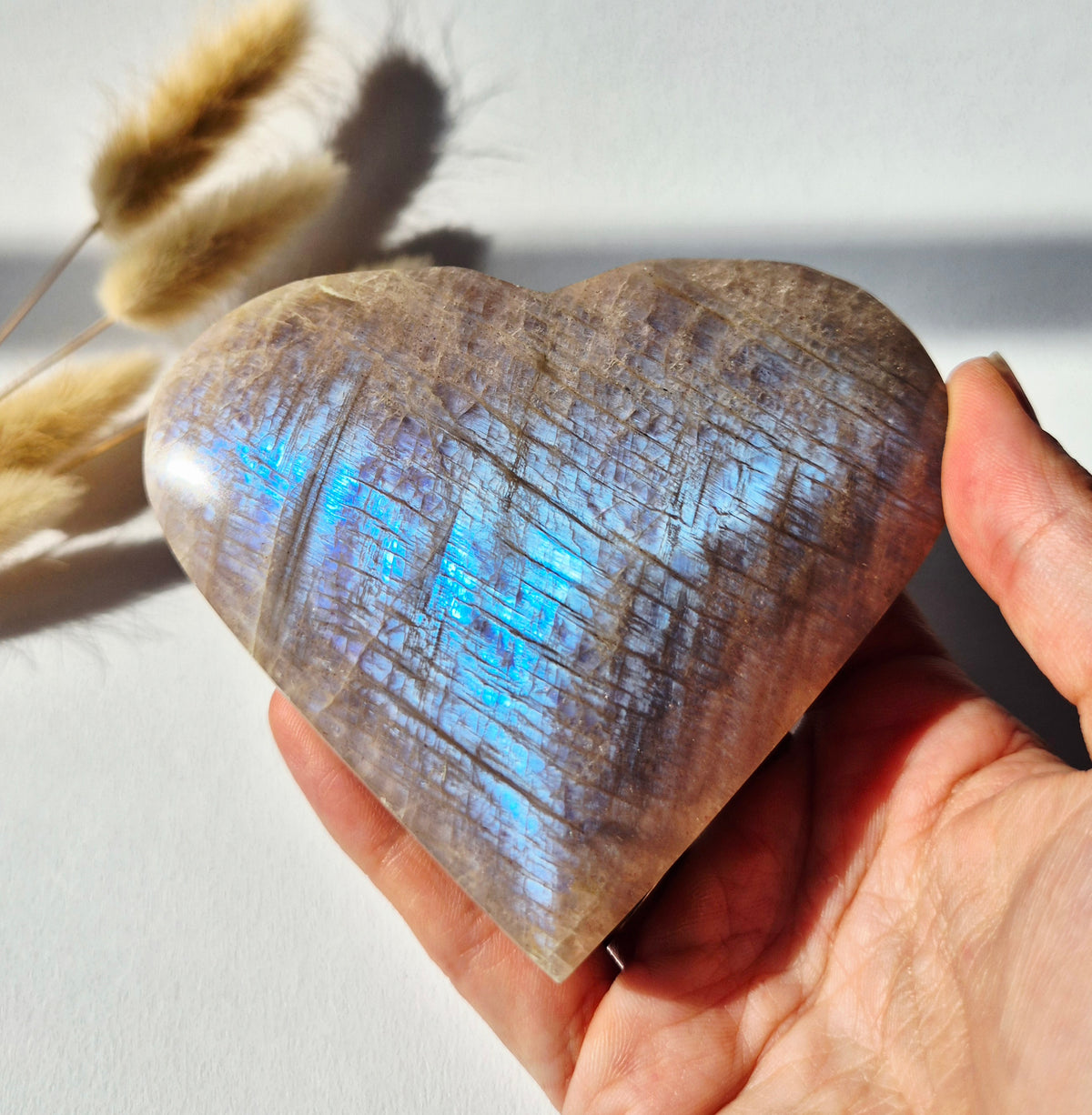 XL Flashy Blauwe Maansteen Hart – 330 gram