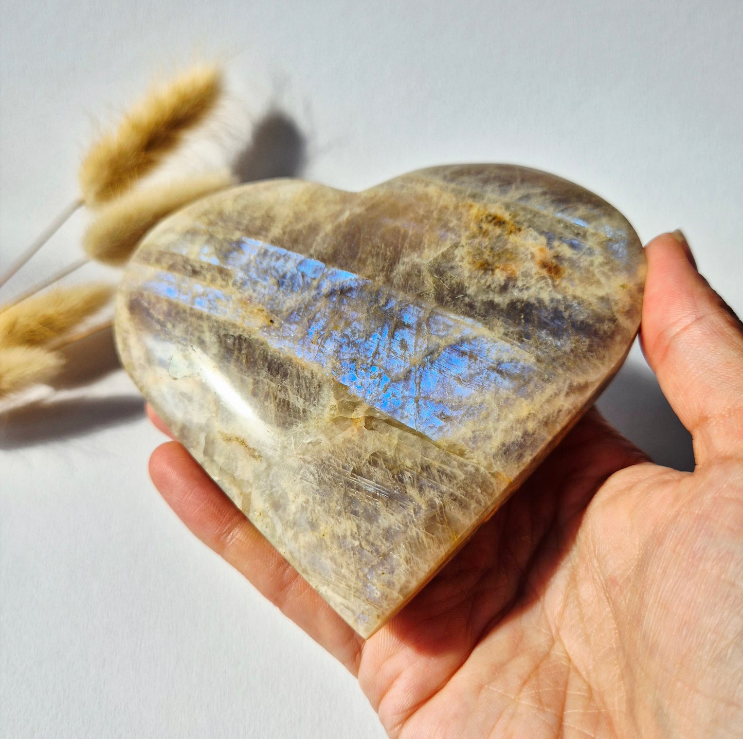 XL Flashy Blauwe Maansteen Hart – 339 gram Edelsteen Moonstone