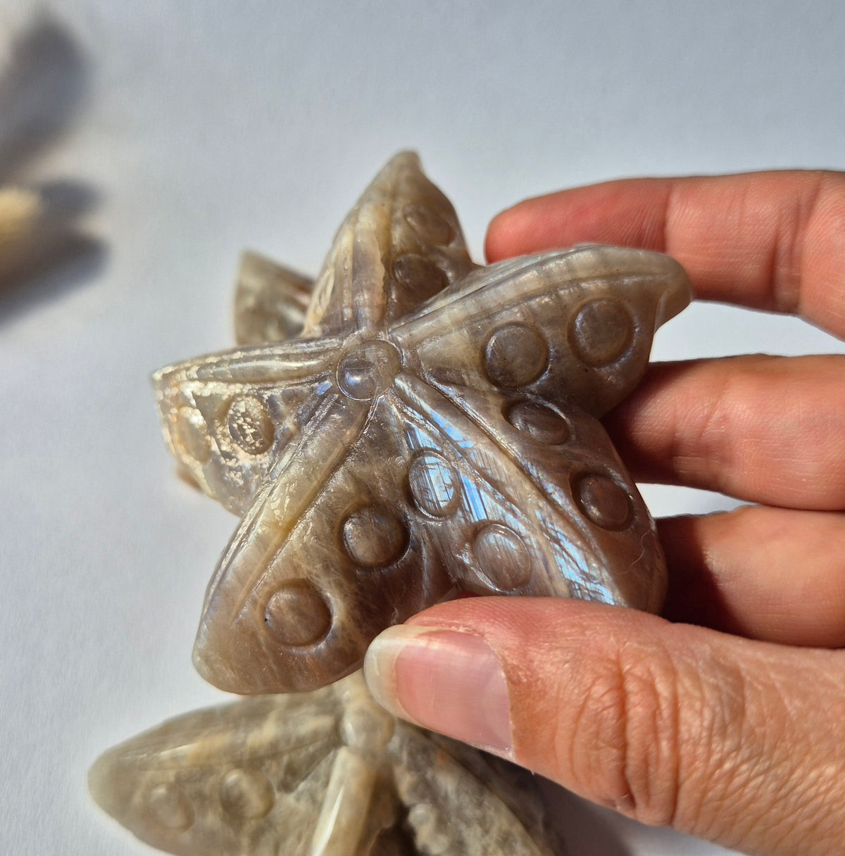 Gemstone Blue Moonstone Flame 7-9cm With Beautiful Flash