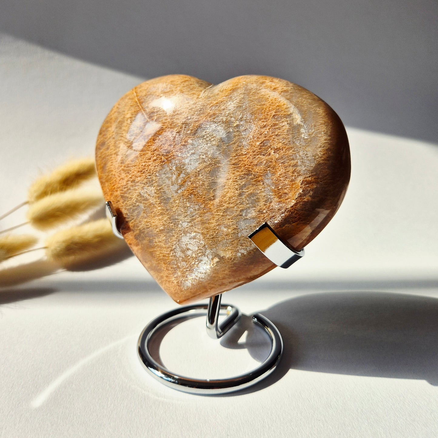Gemstone Ocean Jasper Palmstone (6-8 cm) – Balance &amp; Positive Energy Handstone worrystone worrystone