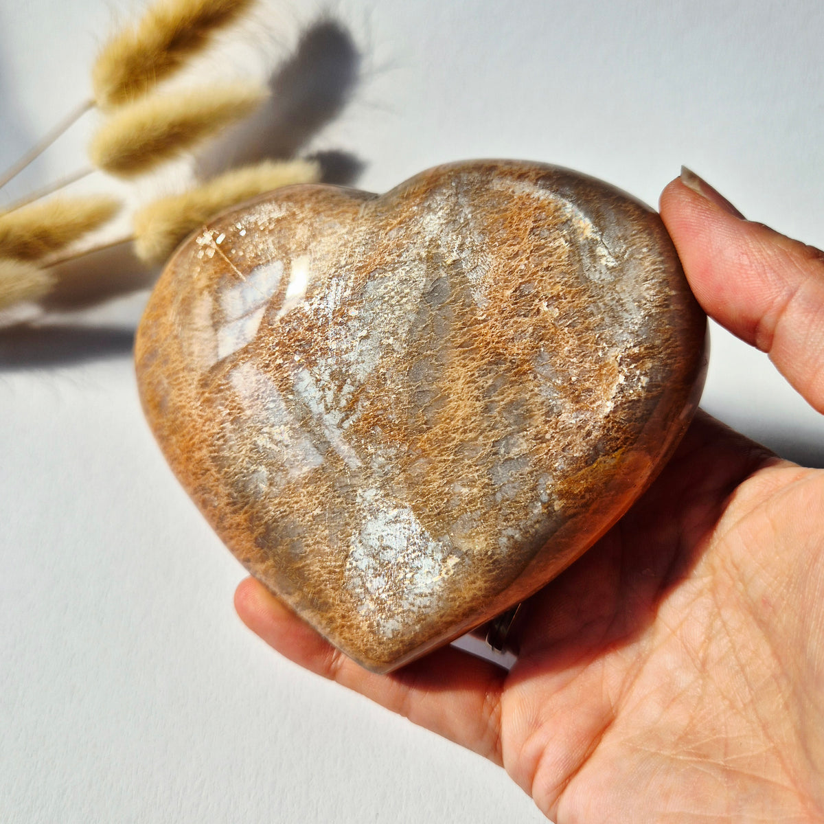 Groot Peach Moonstone edelsteen hart 11 cm 444 gram met warme perzik- en zilverachtige glans