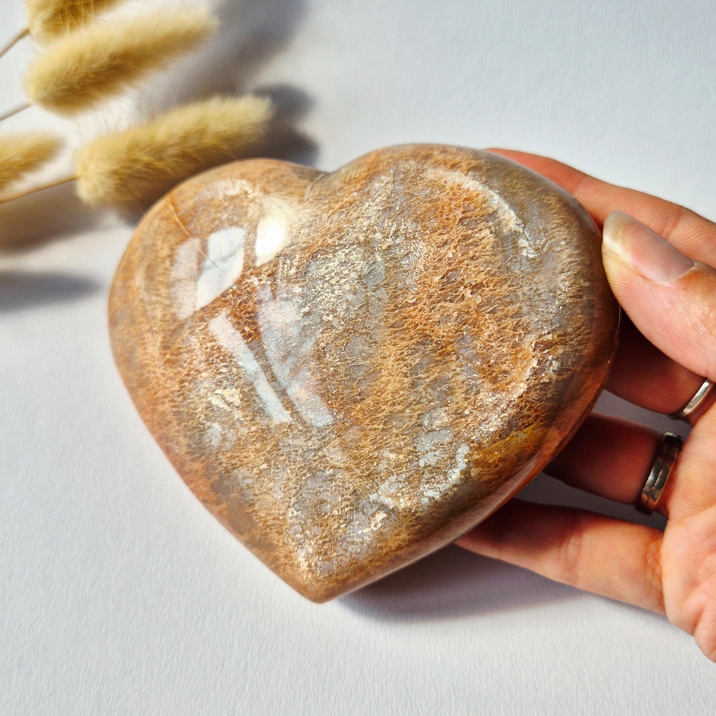 Gemstone Ocean Jasper Palmstone (6-8 cm) – Balance &amp; Positive Energy Handstone worrystone worrystone