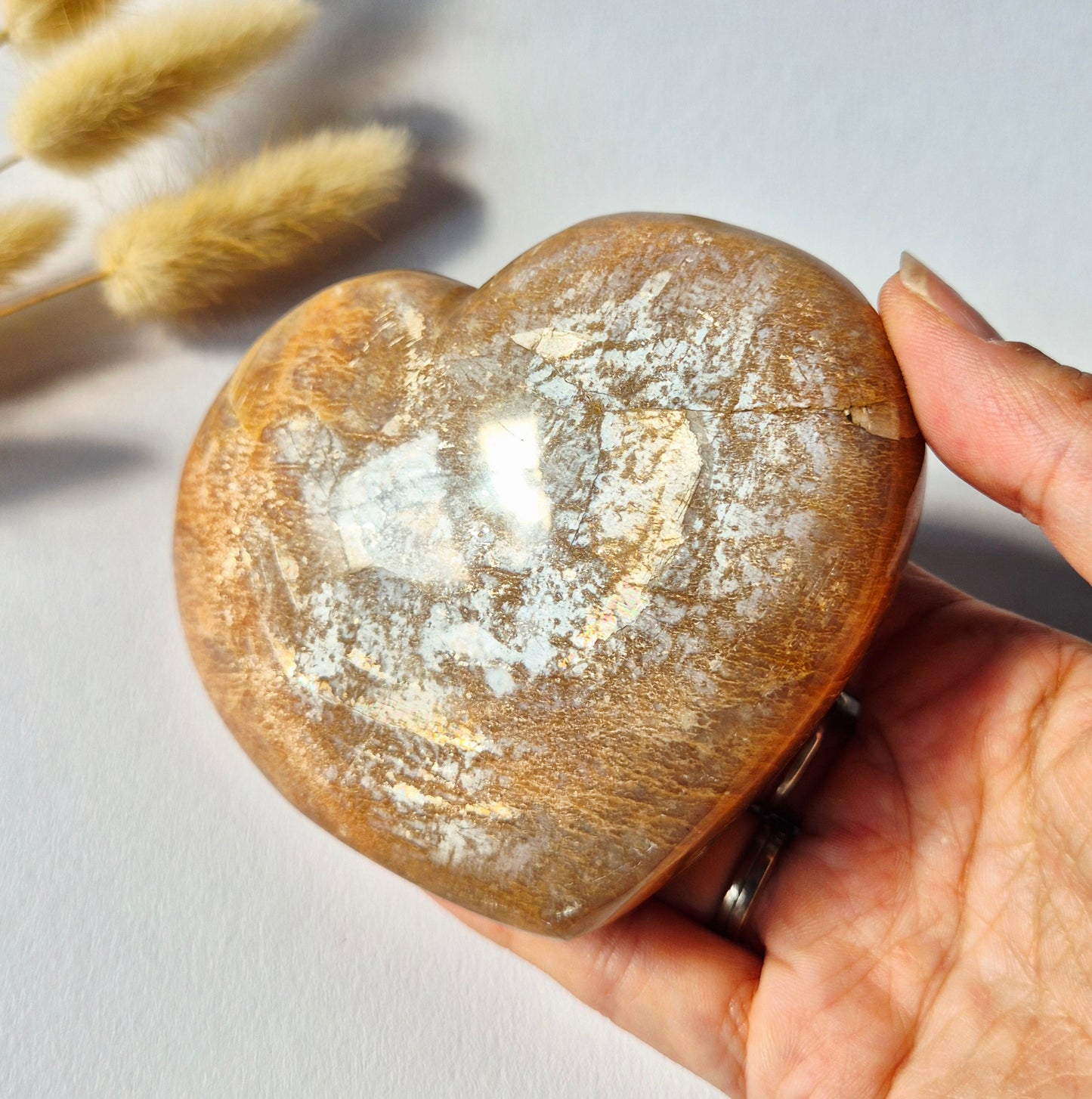 Gemstone Ocean Jasper Palmstone (6-8 cm) – Balance &amp; Positive Energy Handstone worrystone worrystone