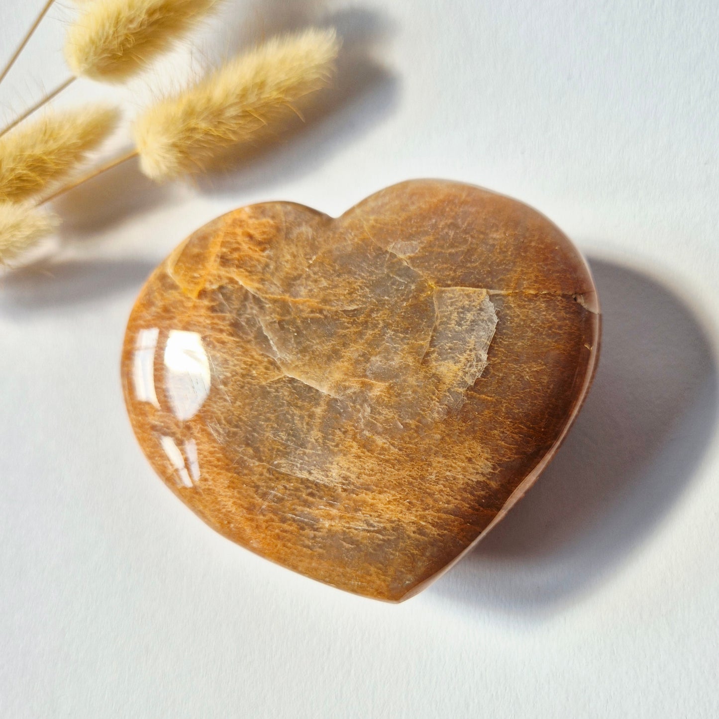 Gemstone Ocean Jasper Palmstone (6-8 cm) – Balance &amp; Positive Energy Handstone worrystone worrystone