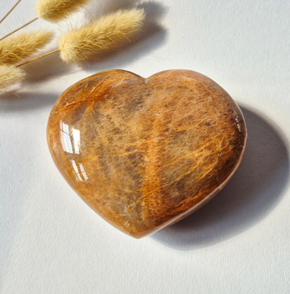 Gemstone Ocean Jasper Palmstone (6-8 cm) – Balance &amp; Positive Energy Handstone worrystone worrystone