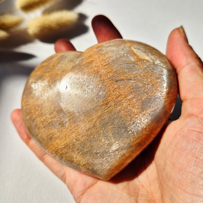 Gemstone Ocean Jasper Palmstone (6-8 cm) – Balance &amp; Positive Energy Handstone worrystone worrystone