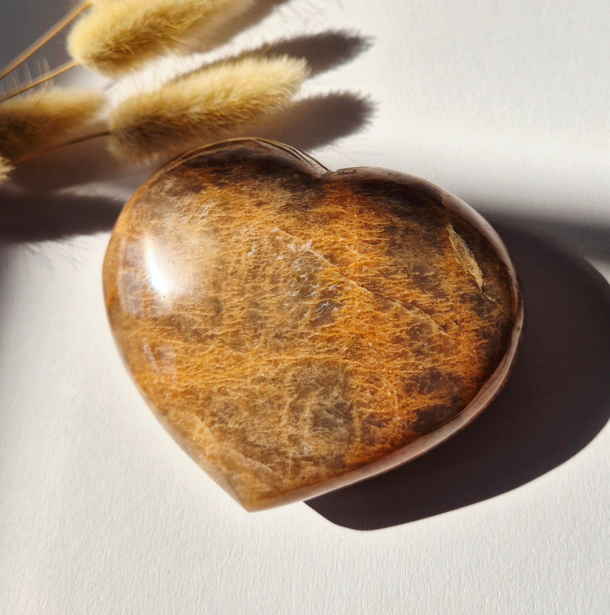 Gemstone Ocean Jasper Palmstone (6-8 cm) – Balance &amp; Positive Energy Handstone worrystone worrystone