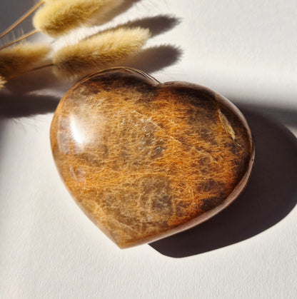 Gemstone Ocean Jasper Palmstone (6-8 cm) – Balance &amp; Positive Energy Handstone worrystone worrystone
