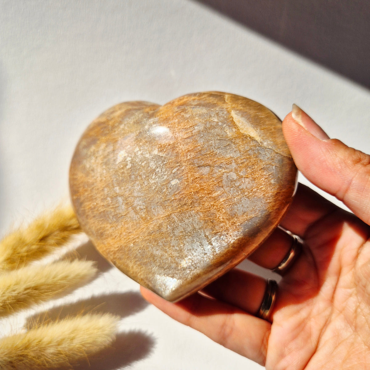 Gemstone Ocean Jasper Palmstone (6-8 cm) – Balance &amp; Positive Energy Handstone worrystone worrystone