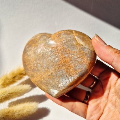 Gemstone Ocean Jasper Palmstone (6-8 cm) – Balance &amp; Positive Energy Handstone worrystone worrystone