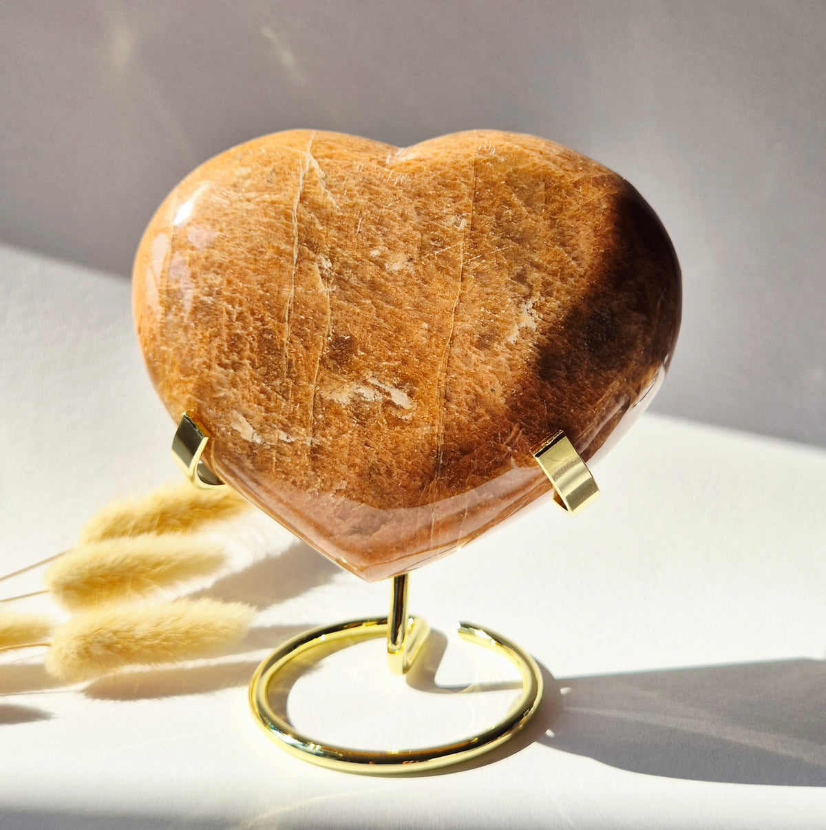 Gemstone Ocean Jasper Palmstone (6-8 cm) – Balance &amp; Positive Energy Handstone worrystone worrystone