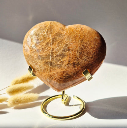 Gemstone Ocean Jasper Palmstone (6-8 cm) – Balance &amp; Positive Energy Handstone worrystone worrystone