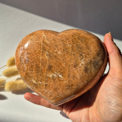 Gemstone Ocean Jasper Palmstone (6-8 cm) – Balance &amp; Positive Energy Handstone worrystone worrystone