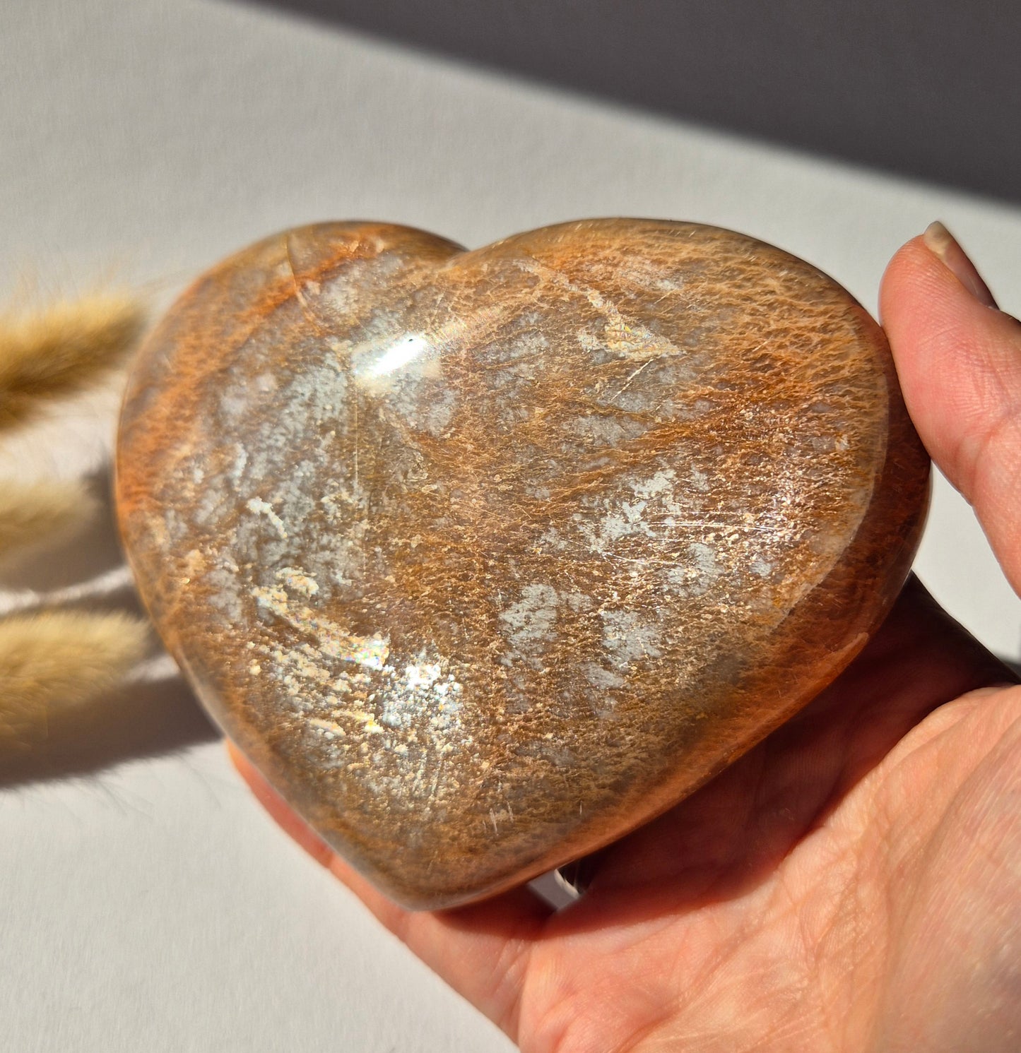 Gemstone Ocean Jasper Palmstone (6-8 cm) – Balance &amp; Positive Energy Handstone worrystone worrystone