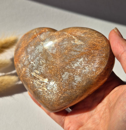 Gemstone Ocean Jasper Palmstone (6-8 cm) – Balance &amp; Positive Energy Handstone worrystone worrystone