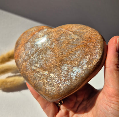 Gemstone Ocean Jasper Palmstone (6-8 cm) – Balance &amp; Positive Energy Handstone worrystone worrystone