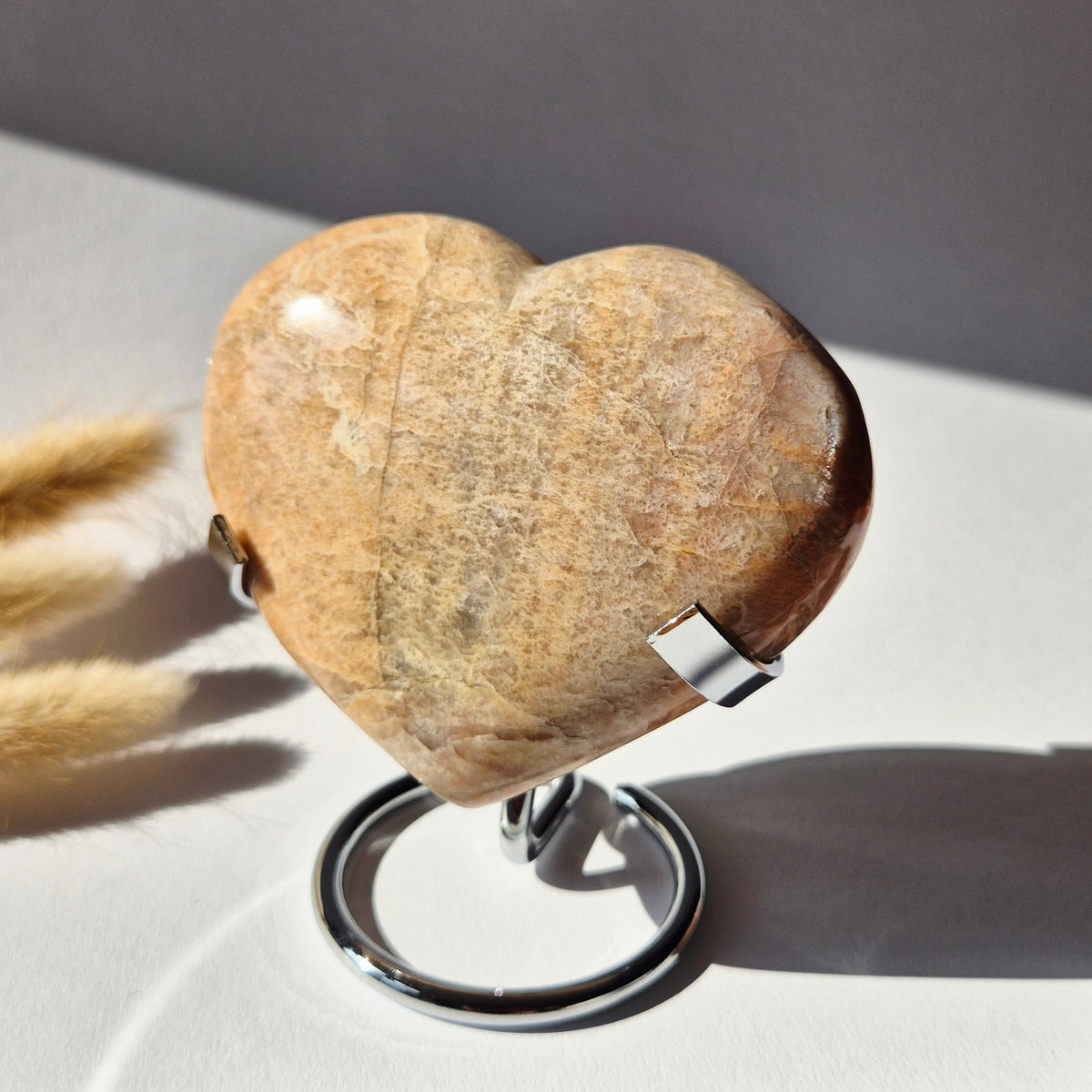 Gemstone Ocean Jasper Palmstone (6-8 cm) – Balance &amp; Positive Energy Handstone worrystone worrystone