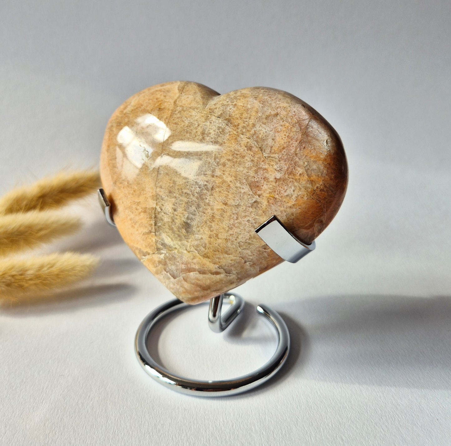 Gemstone Ocean Jasper Palmstone (6-8 cm) – Balance &amp; Positive Energy Handstone worrystone worrystone