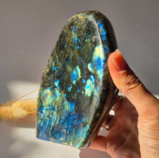 Labradoriet Freeform 993g – High Flash Madagascar Labradoriet – One of a Kind Crystal