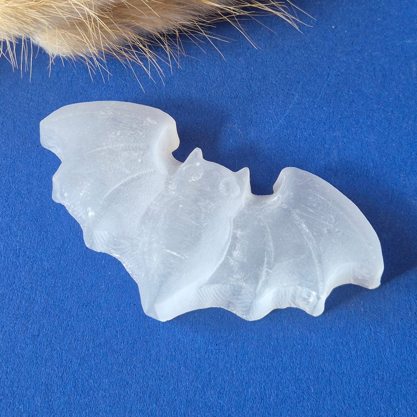 Seleniet Halloween Carvings – Vleermuis
