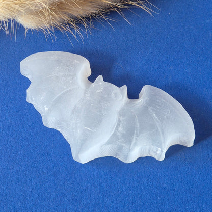 Seleniet Halloween Carvings – Vleermuis
