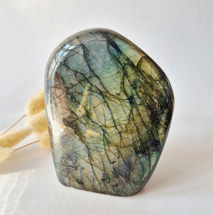 Labradoriet Freeform 975g – High Flash Madagascar Labradoriet – One of a Kind Crystal