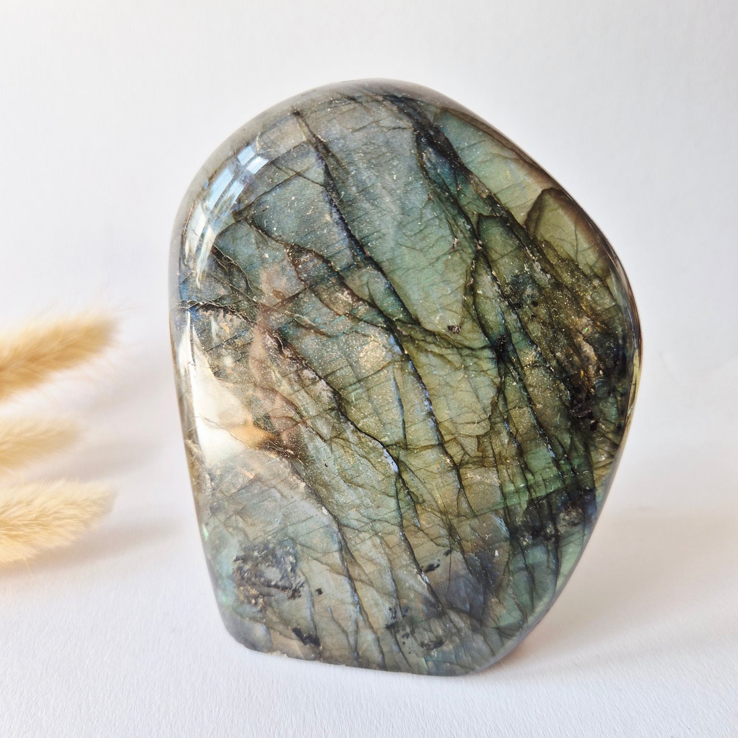 Labradoriet Freeform 975g – High Flash Madagascar Labradoriet – One of a Kind Crystal